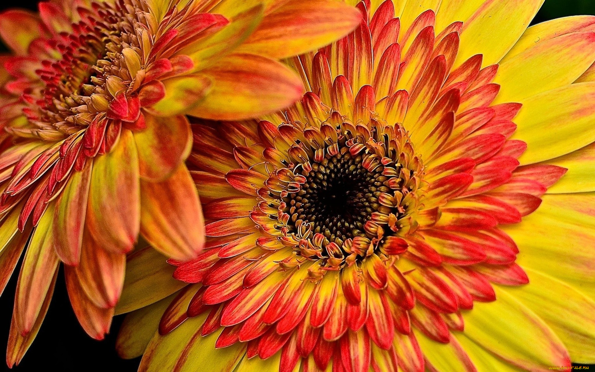 , , , 